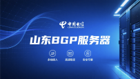 山东电信BGP高防服务器，200Gbps DDoS防护秒解+高速带宽，低价热销
